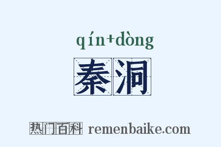 秦洞是什么意思的图片